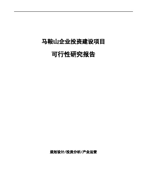 马鞍山项目可行性研究报告参考模板