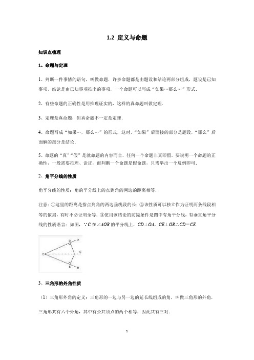 1-2定义与命题 复习讲义  2021-2022学年浙教版数学八年级上册