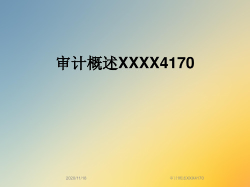 审计概述XXX4170