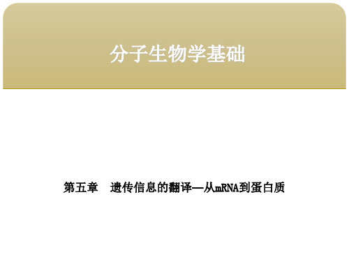 分子生物学基础第五章遗传信息的翻译—从mRNA到蛋白质第二节蛋白质生物合成的过程