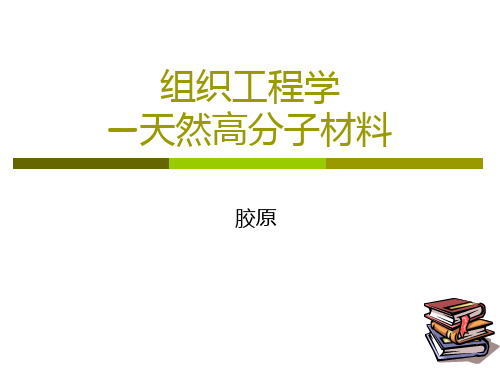 天然高分子材料之胶原ppt课件