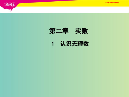 北师大数学八年级上2.1认识无理数课件(共18张PPT)