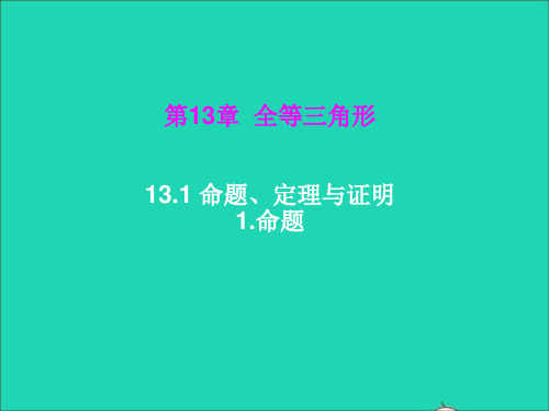 八年级数学上册第13章全等三角形13.1命题定理与证明1命题课件新版华东师大版