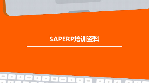 SAPERP培训资料