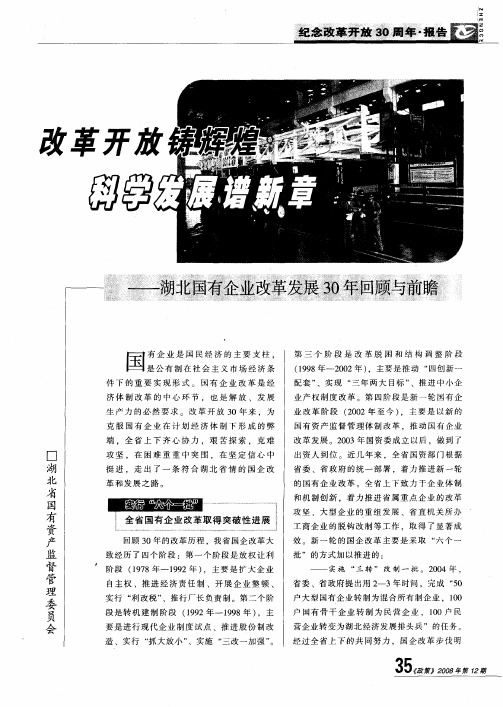 改革开放铸辉煌科学发展谱新章——湖北国有企业改革发展30年回顾与前瞻