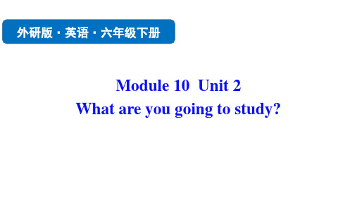 外研版六年级英语下册 (What are you going to study) 课件