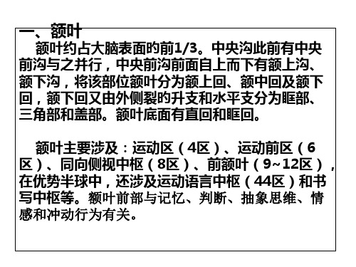 大脑额叶的功能定位专业资料