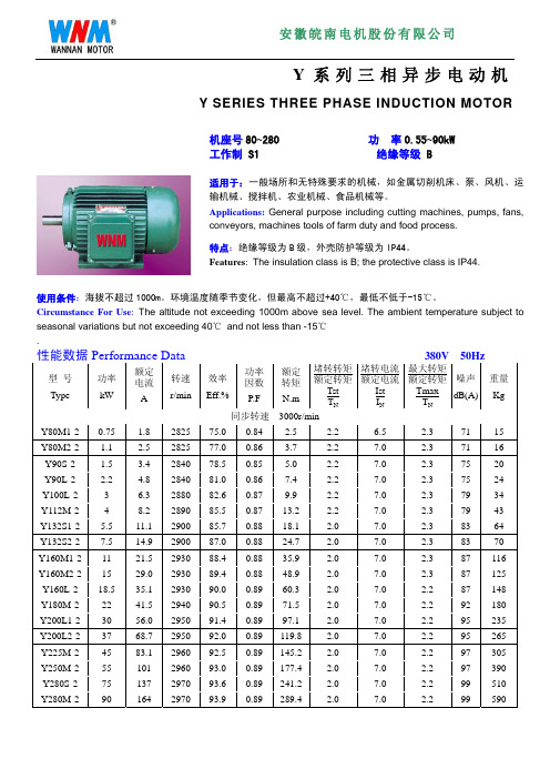 Y系列三相异步电动机(安徽皖南电机股份有限公司)