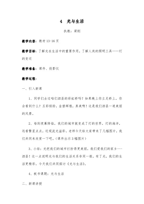 广东教育出版社广东科技出版社小学科学六年级上册  光与生活-省赛一等奖