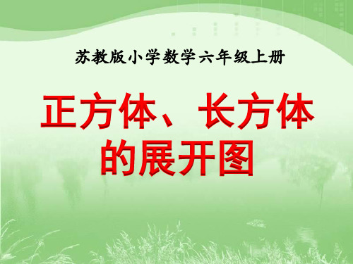 苏教版义务教育教科书数学六年级上册第一单元长方体和正方体的展开图