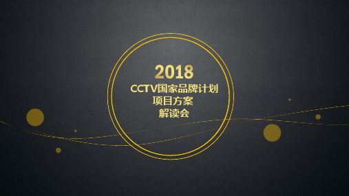 2019年CCTV国家品牌计划项目书(草案-PPT)