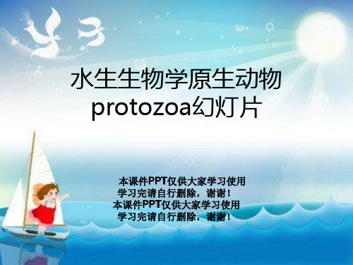 水生生物学原生动物protozoa幻灯片