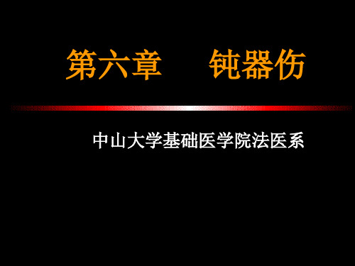 钝器伤-学生文档