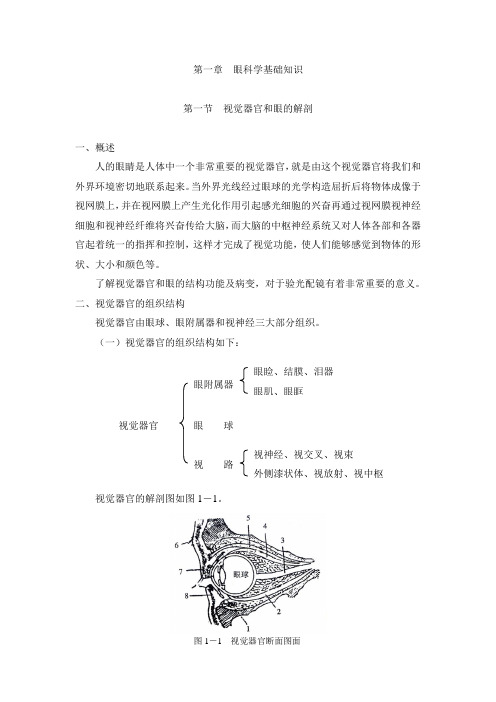 视觉器官和眼的解剖