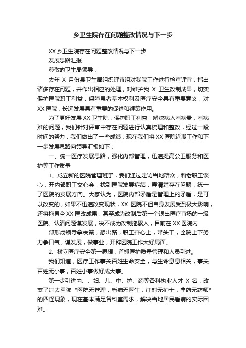 乡卫生院存在问题整改情况与下一步