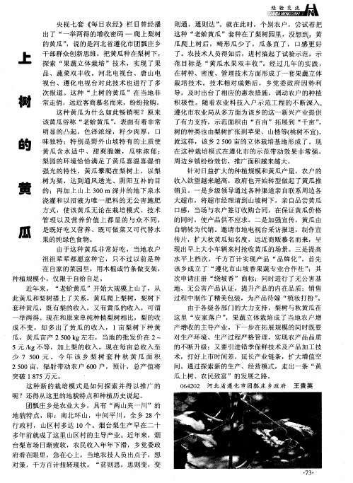 上树的黄瓜
