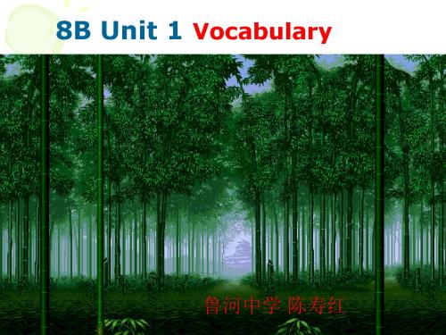 8B Unit 1(Vocabulary)课件