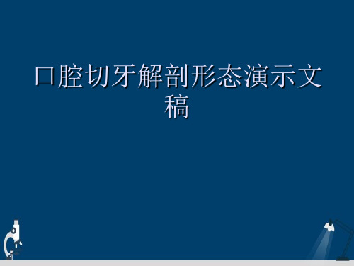 口腔切牙解剖形态演示文稿