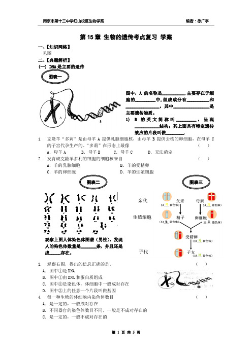 生物的遗传和变异考点复习 学案