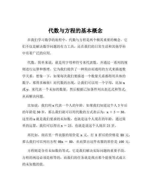 代数与方程的基本概念