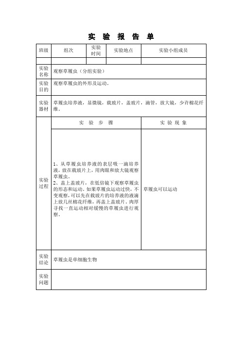 观察草履虫实验报告单