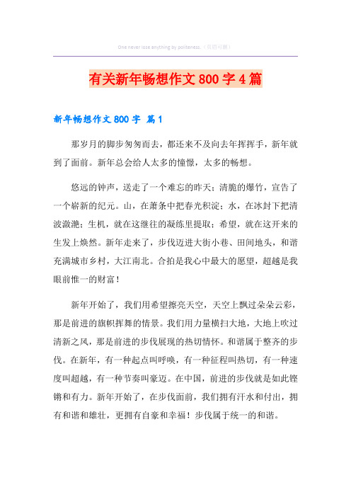 有关新年畅想作文800字4篇