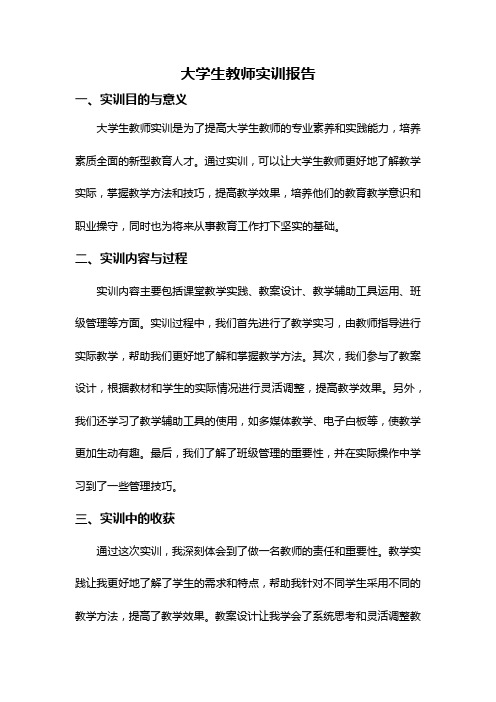 大学生教师实训报告