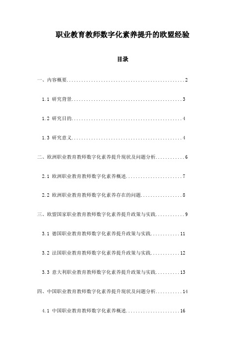 职业教育教师数字化素养提升的欧盟经验