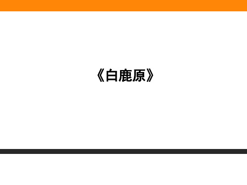 高中语文家族的记忆ppt(课件+习题,4份打包) 人教课标版1最新优选公开课件