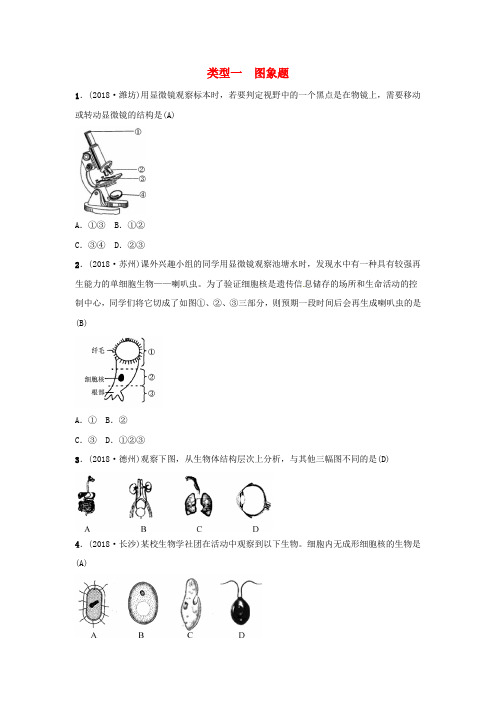 2019届中考生物教材考点梳理与题型复习(27套 含答案)