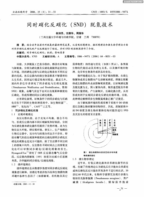 同时硝化反硝化(SND)脱氮技术