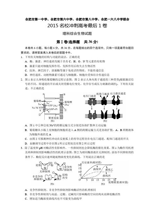 合肥市2015年高考最后一卷生物试题及答案解析(word精校版)