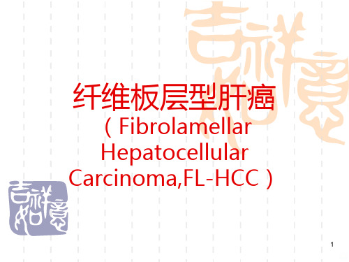 纤维板层型肝癌PPT课件