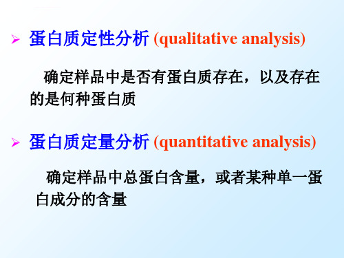 蛋白质的定性定量分析及保存ppt课件.ppt