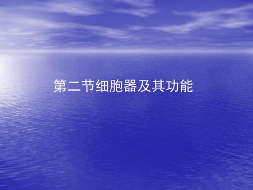 高中生物细胞器及其功能PPT 人教版