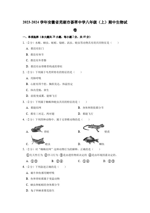 安徽省芜湖市荟萃中学2023-2024学年八年级上学期期中生物试卷(含解析)