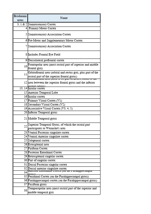 Brodmann Area分区系统