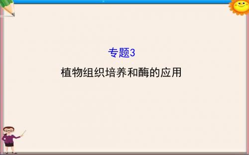 高三生物第一轮复习 专题3 植物组织培养和酶的应用课件 新人教版选修1