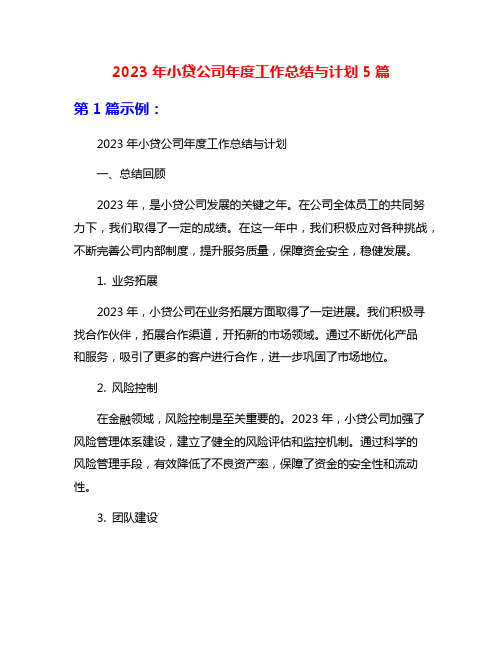 2023年小贷公司年度工作总结与计划5篇