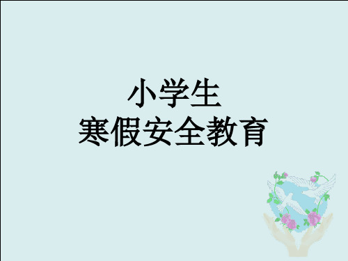 小学生假期安全教育家长会 PPT课件