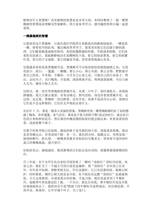 一棵黑槐树的智慧阅读理解原文及答案解析 - 现代文阅读及答案 -  