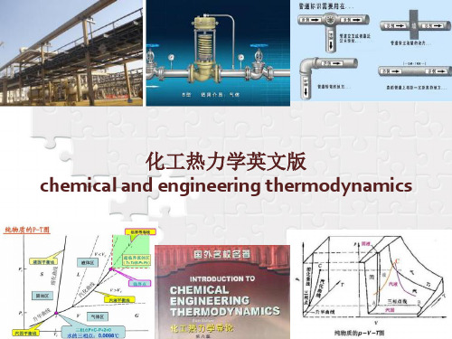 化工热力学导论英文课件4 热效率heat effects 