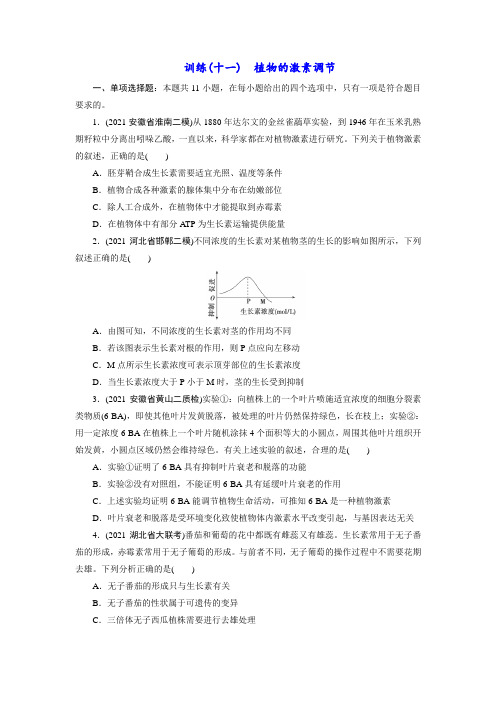 新高考生物专题训练4—调节：第11讲 植物的激素调节(学生版含答案详解)