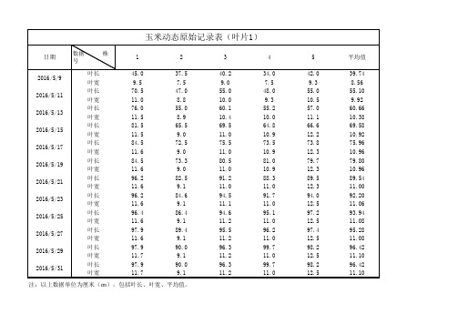 玉米原始记录数据例图