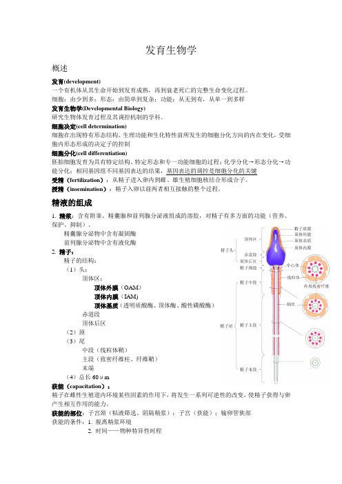 发育生物学整理