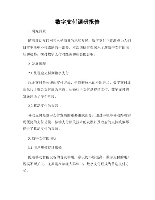 数字支付调研报告