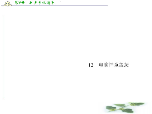 粤教语文选修《传记选读》课件 第二单元 异域人生 12 电脑神童盖茨