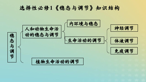 高中生物1-1细胞生活的环境课件课件新人教版选择性必修1