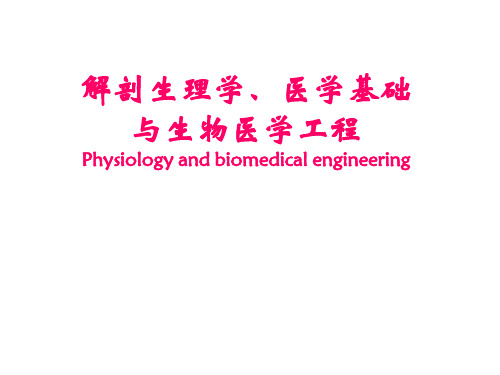 生理学与生物医学工程