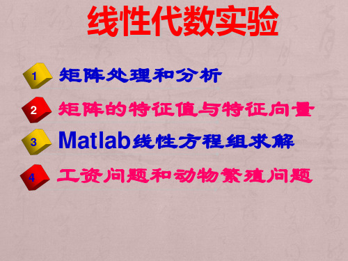 03-Matlab-线性代数实验解析